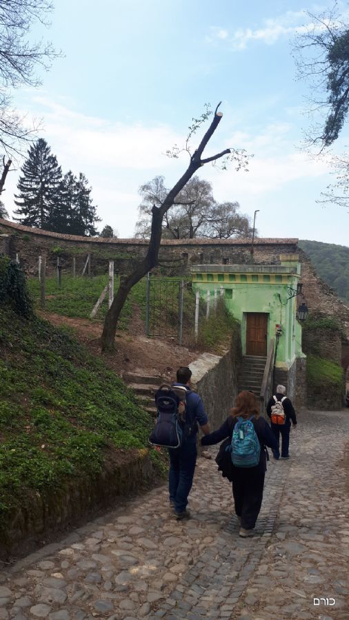 רומניה פסח 2019